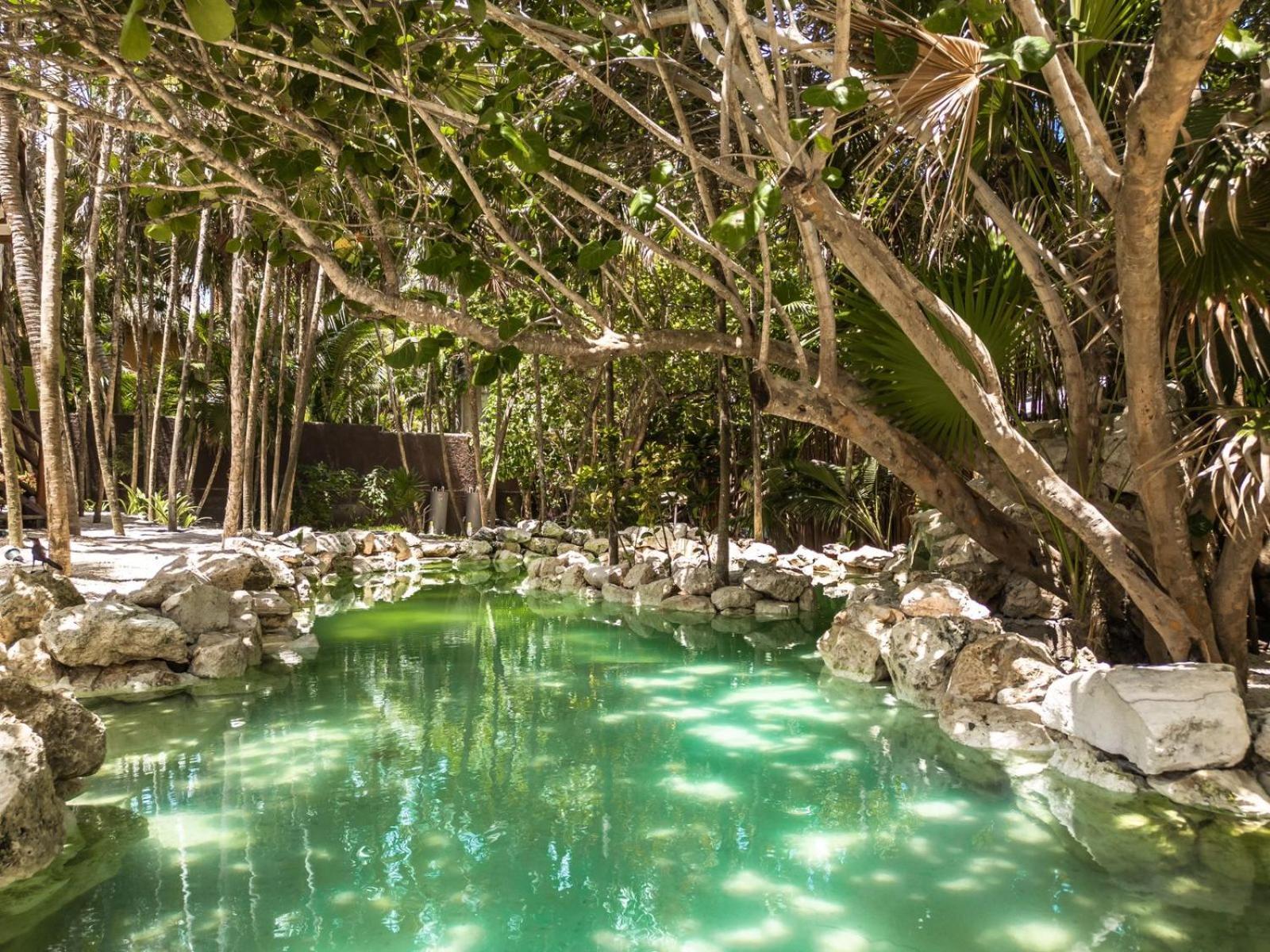 Niken Beachfront Tulum Hotel Exterior foto